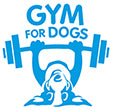 Gym for Dogs