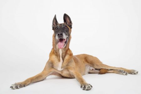 Bienvenid@s a nuestro blog.